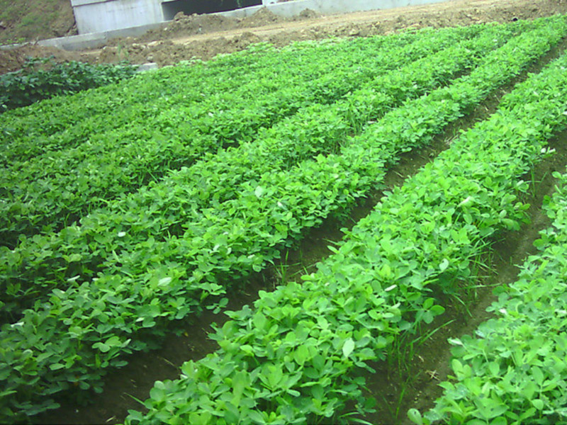 土壤水勢儀各部件可拆卸易于更換維護 土壤水勢儀各部件可拆卸易于更換維護