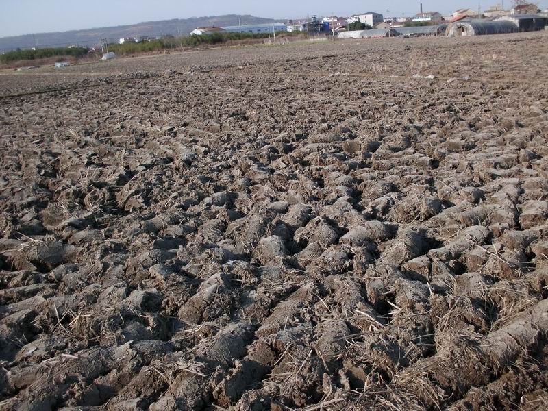 土壤墑情監測系統為指揮抗旱救災工作提供決策支持 土壤墑情監測系統為指揮抗旱救災工作提供決策支持