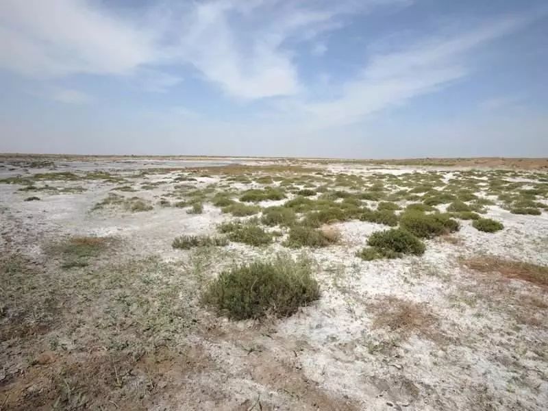 土壤中的鹽分含量對(duì)農(nóng)業(yè)種植有什么影響 土壤中的鹽分含量對(duì)農(nóng)業(yè)種植有什么影響