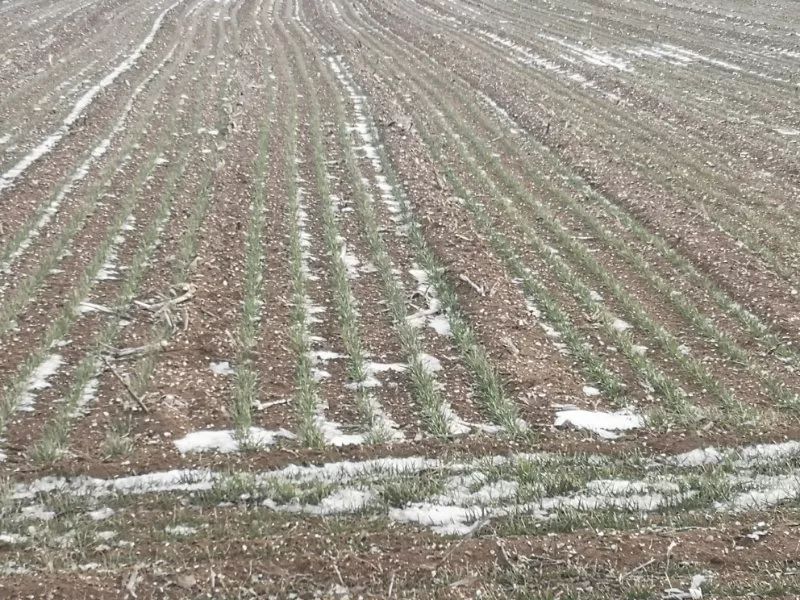 土壤墑情監測系統性能穩定、可靠性高