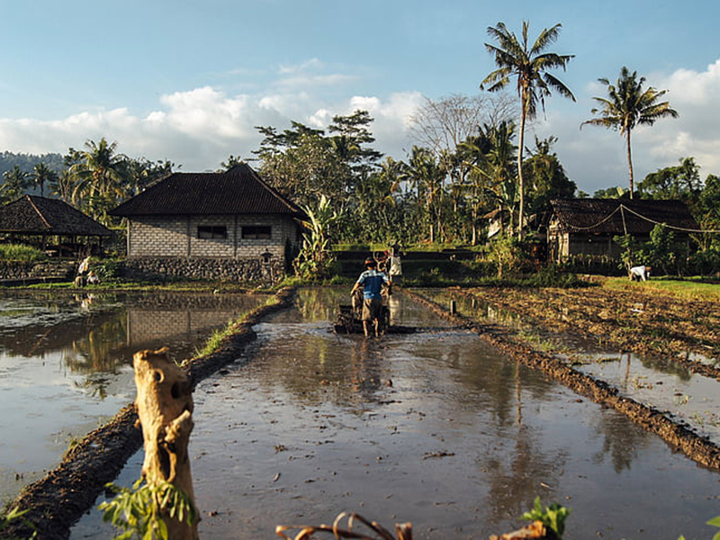 土壤水勢儀的工作原理是什么?操作簡單嗎 土壤水勢儀的工作原理是什么?操作簡單嗎