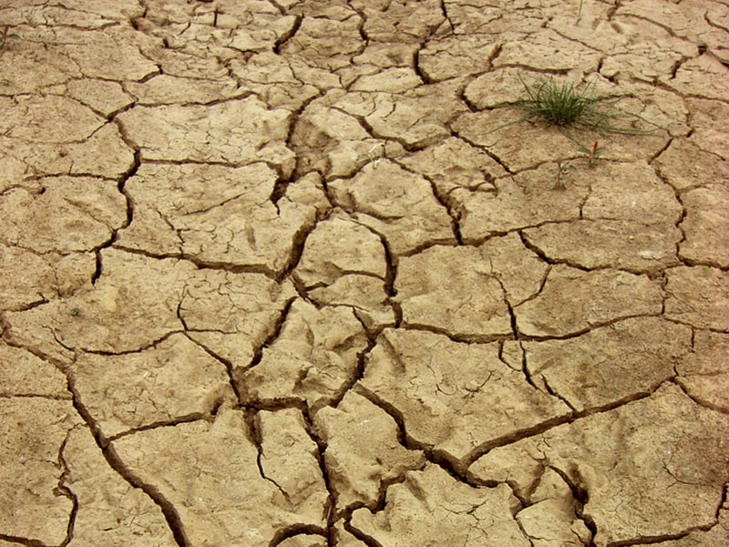 土壤墑情監(jiān)測系統(tǒng)為抗旱救災(zāi)提供決策支持 土壤墑情監(jiān)測系統(tǒng)為抗旱救災(zāi)提供決策支持