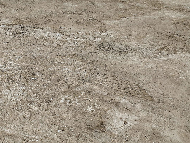 土壤水勢儀對農業有什么實質幫助 土壤水勢儀對農業有什么實質幫助