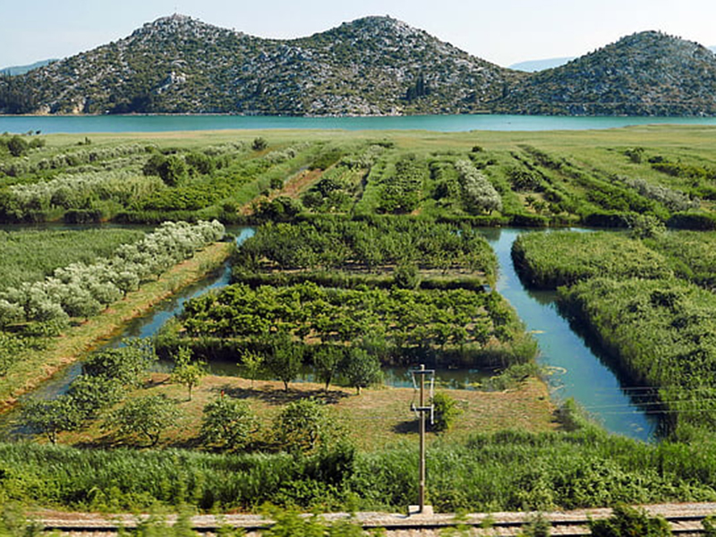 土壤墑情監(jiān)測儀實現(xiàn)對土壤的高度感知 土壤墑情監(jiān)測儀實現(xiàn)對土壤的高度感知