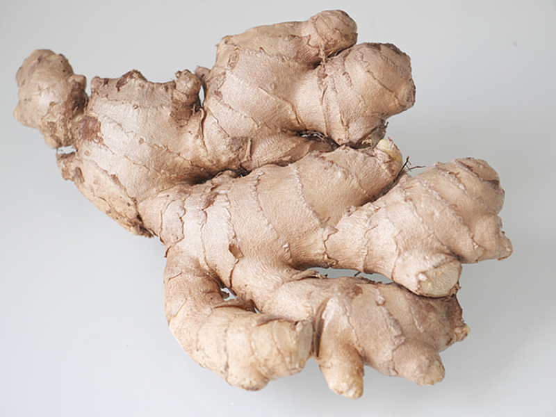 農作物病害檢測儀測定生姜病害 農作物病害檢測儀測定生姜病害