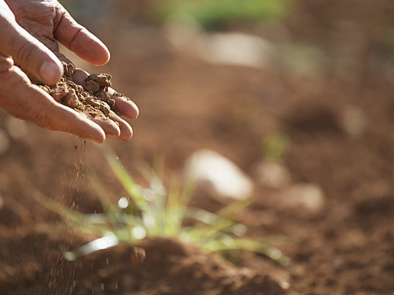 土壤中氮磷鉀的檢測方法 土壤中氮磷鉀的檢測方法