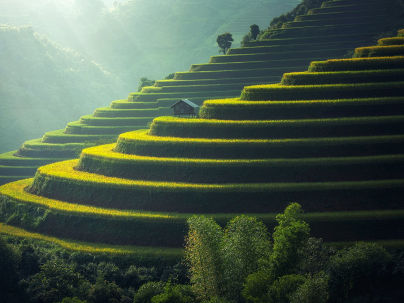 土壤板結 土壤板結