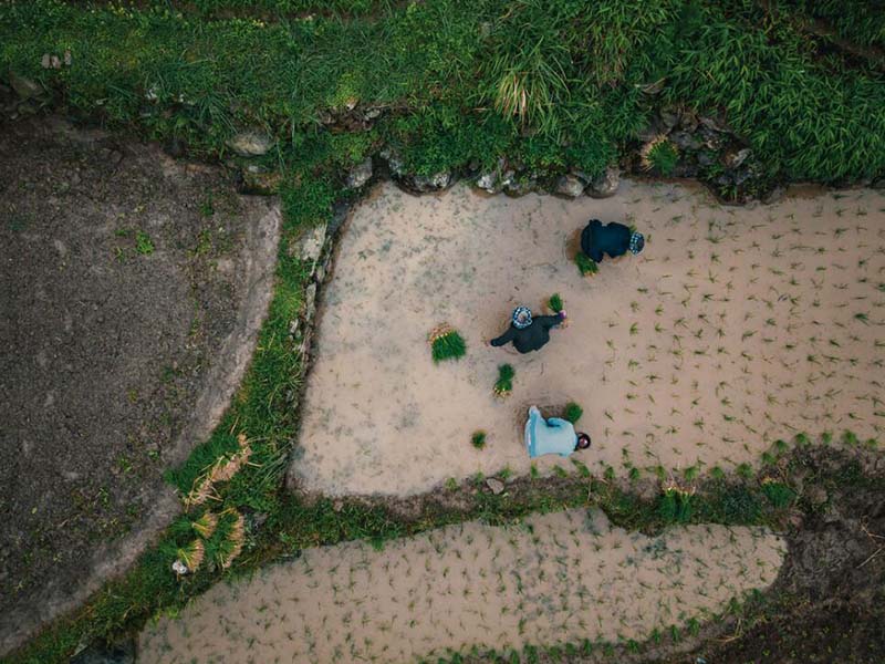 如何讀懂一份土壤檢測報告 如何讀懂一份土壤檢測報告