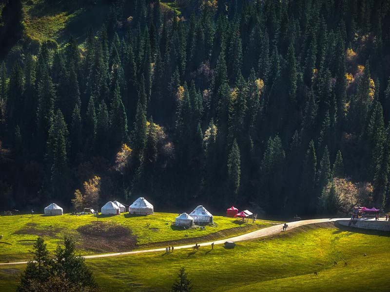 什么是土壤墑情 什么是土壤墑情