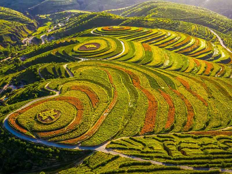 為什么要進行測土配方施肥 為什么要進行測土配方施肥