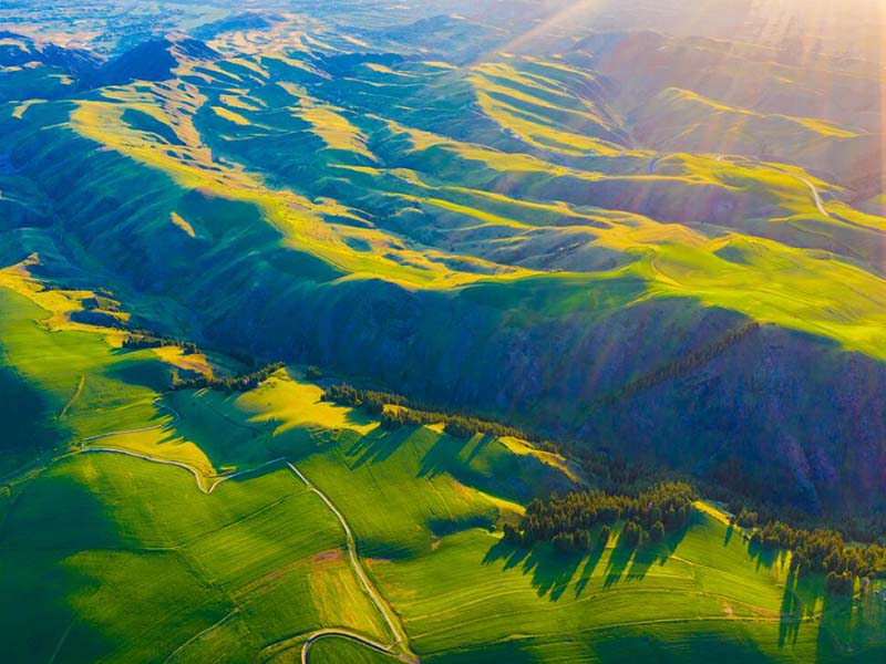 土壤微量元素測定儀價(jià)格