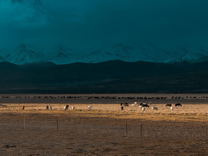 土壤檢測項(xiàng)目有哪些