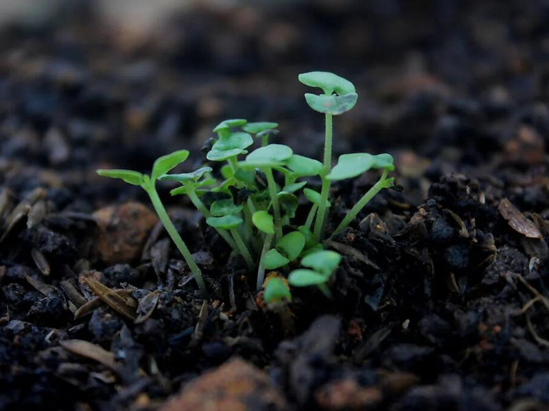 土壤氧化還原電位檢測(cè)常見問題