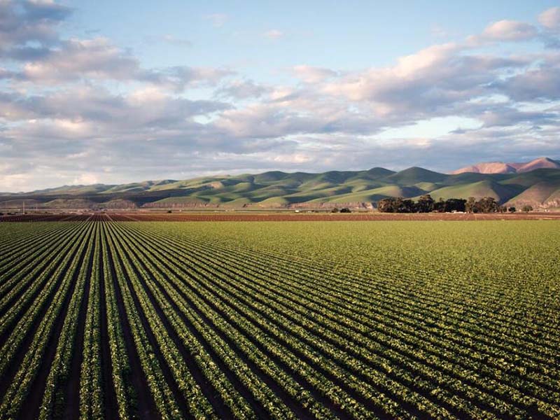 土壤檢測指標及標準