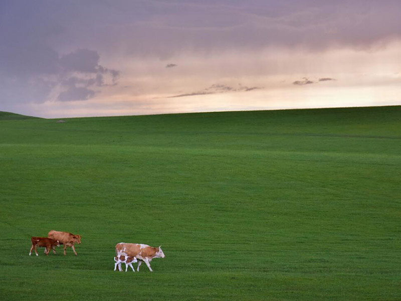 土壤總有機碳檢測的重要性