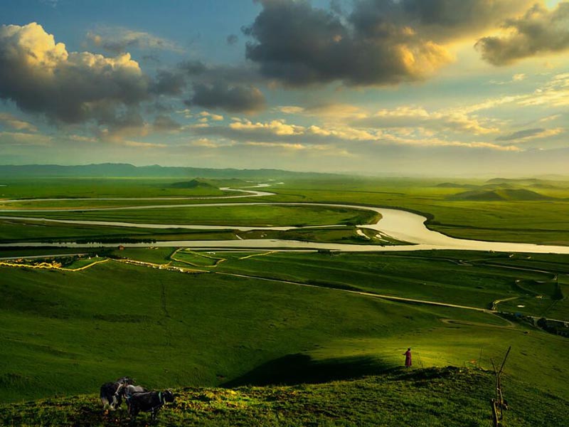 土壤檢測一般包括哪些項目