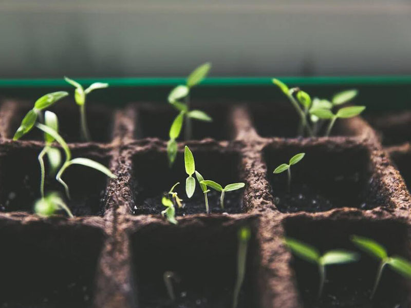 土壤總石油烴檢測儀使用注意事項