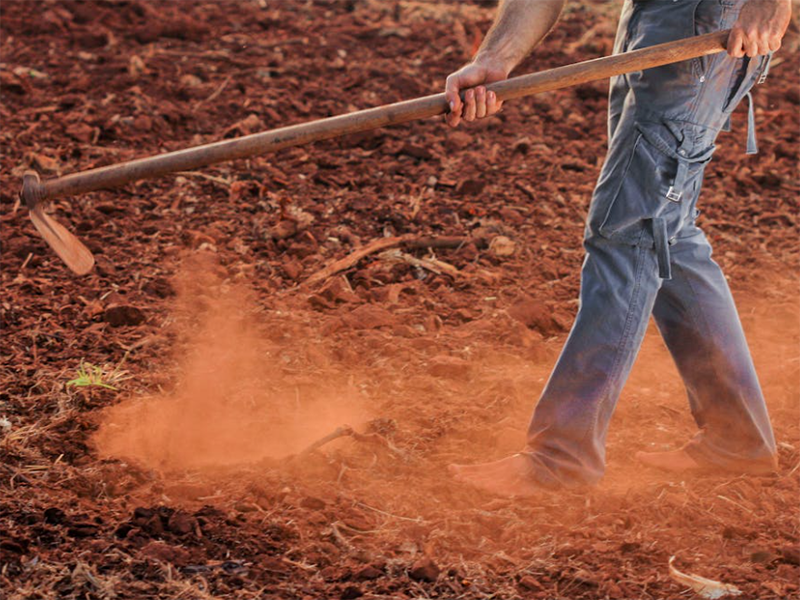 土壤微量元素檢測儀主流機(jī)型