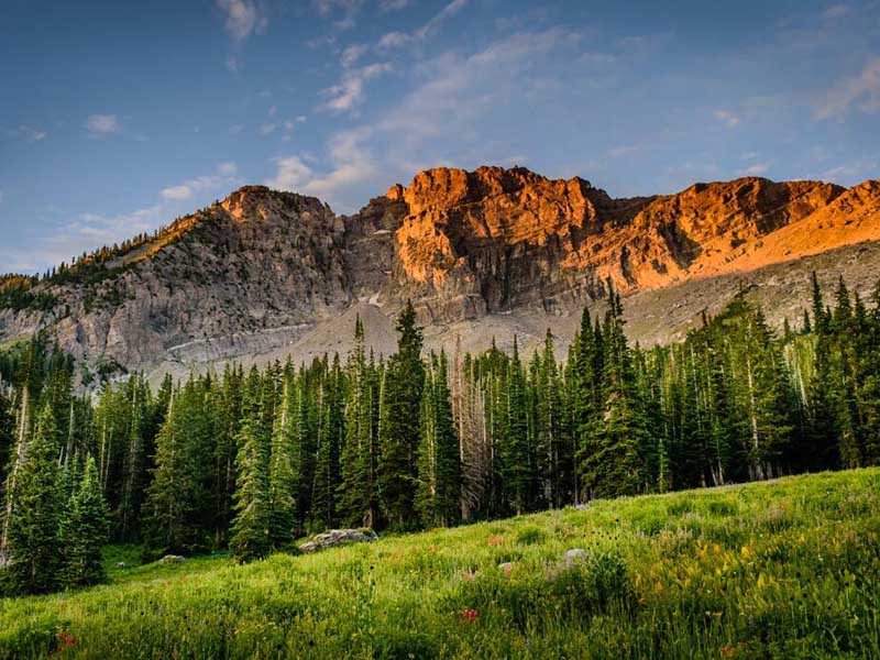 農田土壤重金屬污染現狀