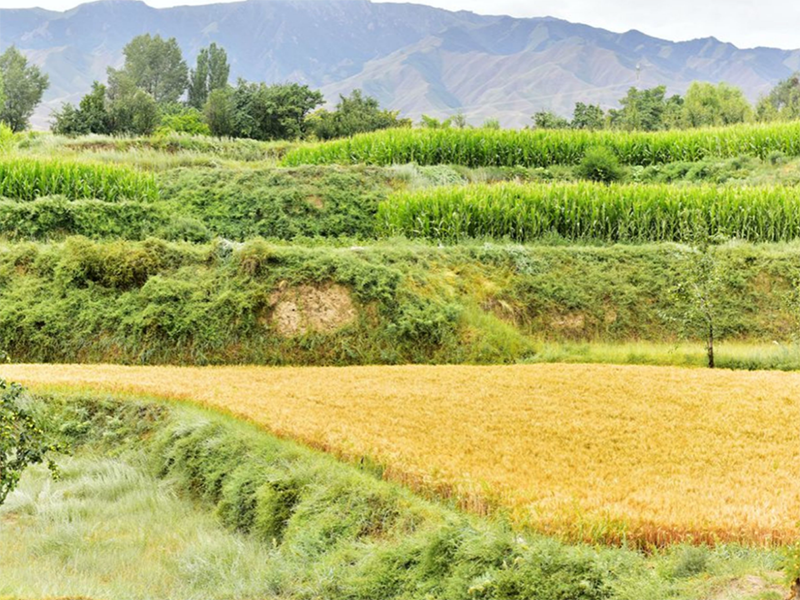 土壤重金屬檢測儀使用方法及步驟