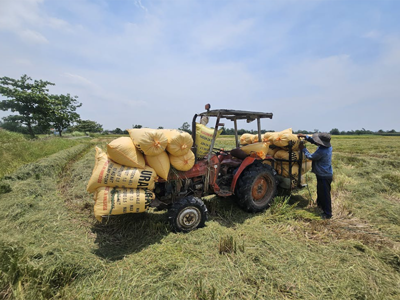 土壤肥料碳氮比檢測儀使用方法