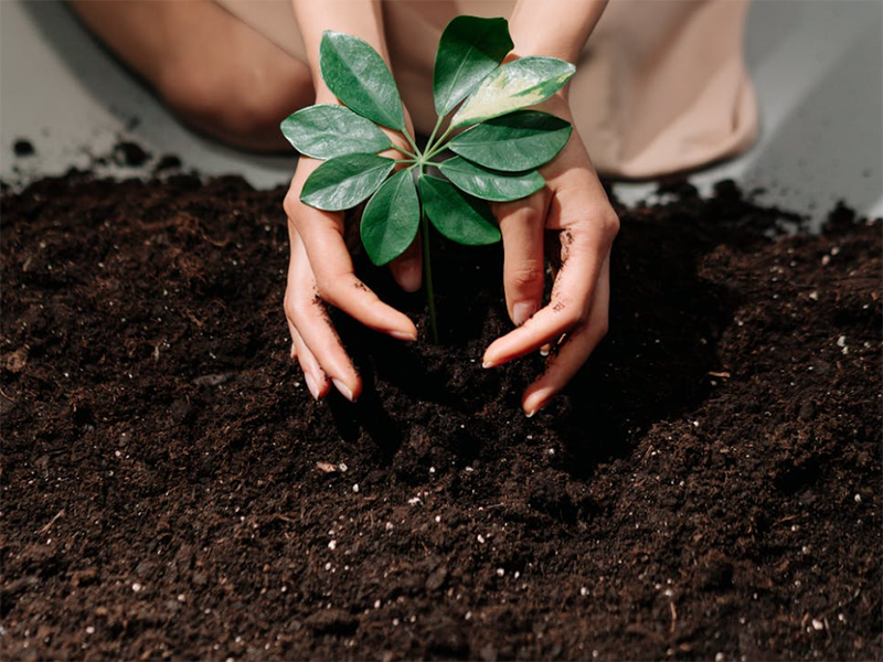 土壤肥料養分檢測儀市場售價