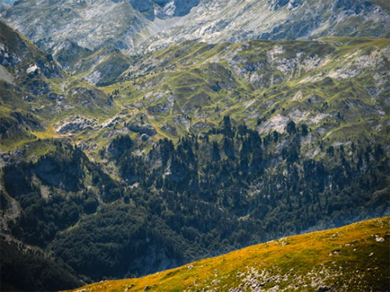測(cè)土配方施肥儀好用嗎