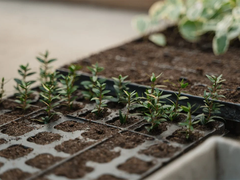 土壤氧化還原電位儀詳細參數(shù)指標