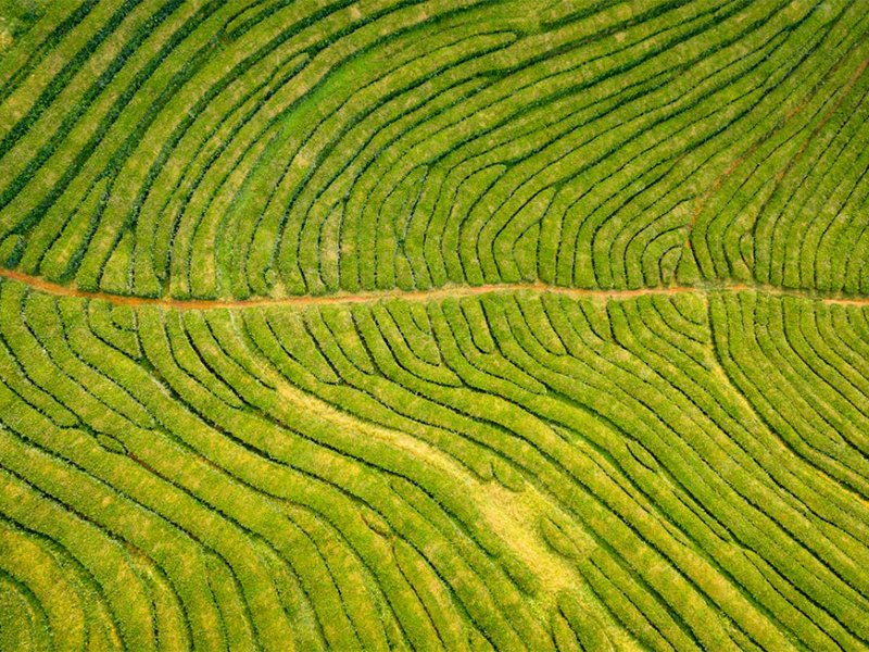 土壤檢測采樣常識