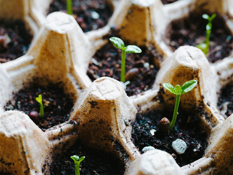 果園土壤檢測的關鍵指標
