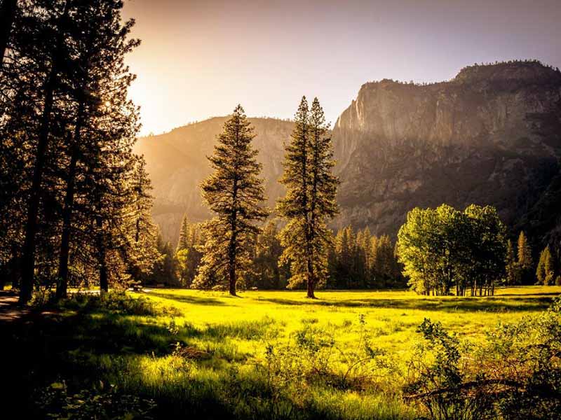 土壤有機(jī)質(zhì)測(cè)定儀工作原理