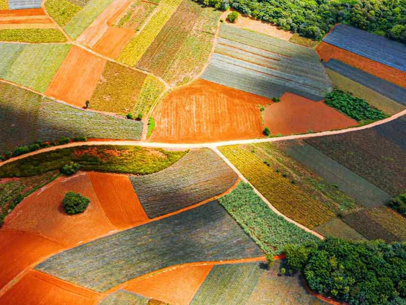 土壤重金屬檢測儀標(biāo)準(zhǔn)流程