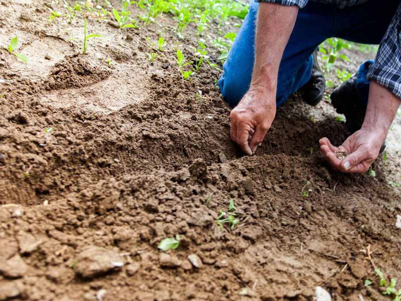 土壤總有機碳檢測儀用途