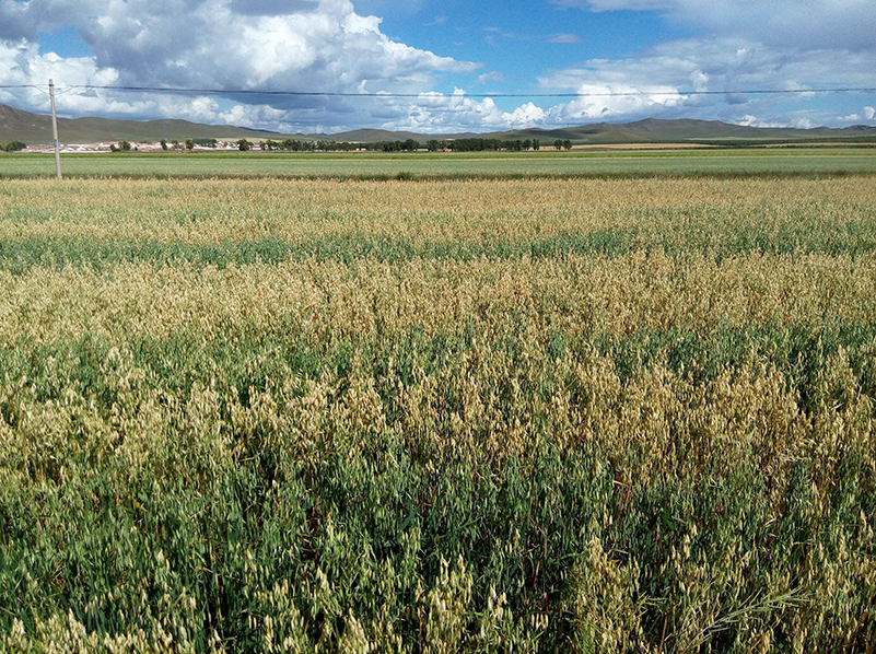測土施肥儀 測土施肥儀