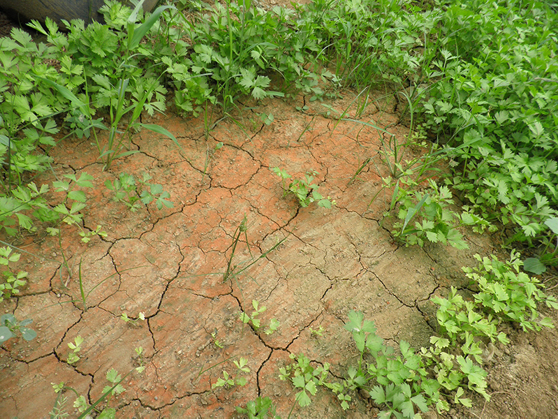 土壤養分快速測試儀 土壤養分快速測試儀