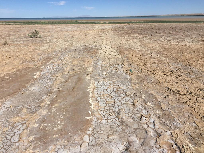 測(cè)土配方施肥儀 測(cè)土配方施肥儀