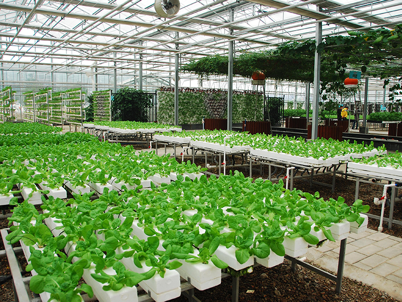 土壤測量儀器 土壤測量儀器