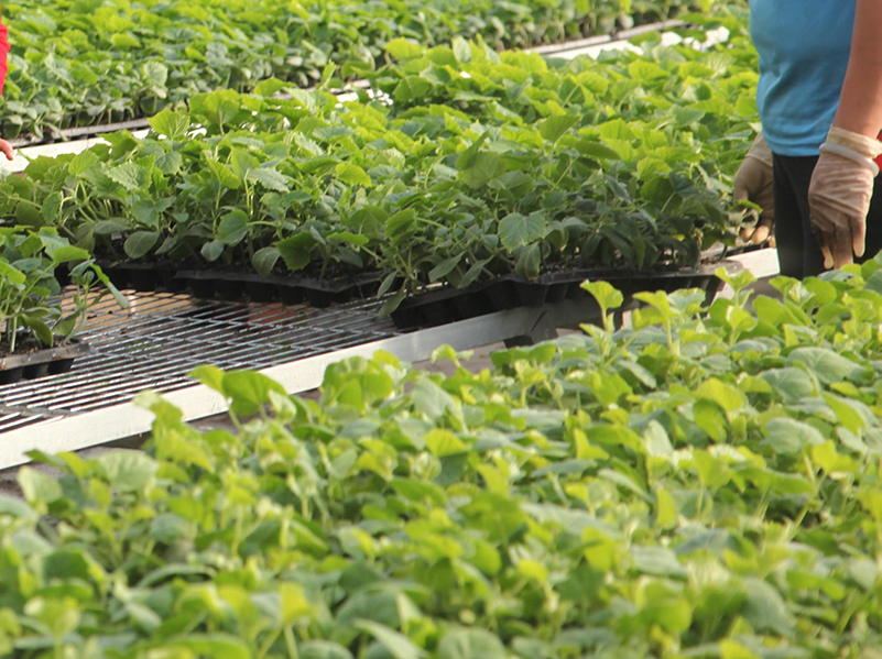 高智能土肥儀 高智能土肥儀