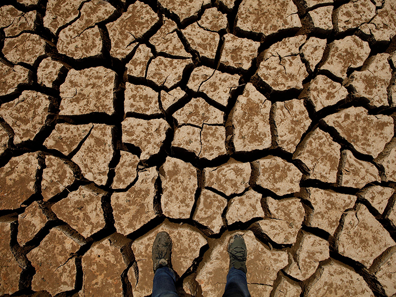 土壤水分測(cè)定儀 土壤水分測(cè)定儀