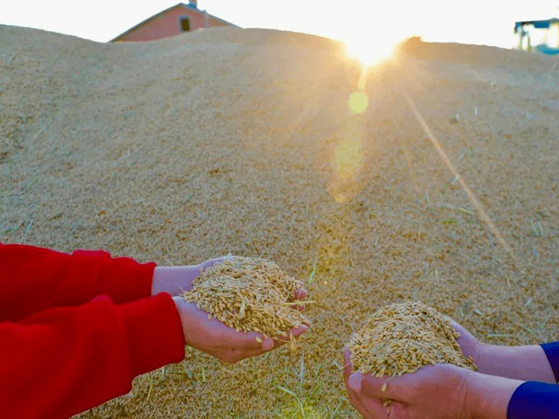 土壤養(yǎng)分檢測(cè)儀 土壤養(yǎng)分檢測(cè)儀