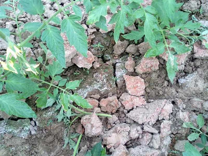 什么是土壤硬度測定儀 17.jpg