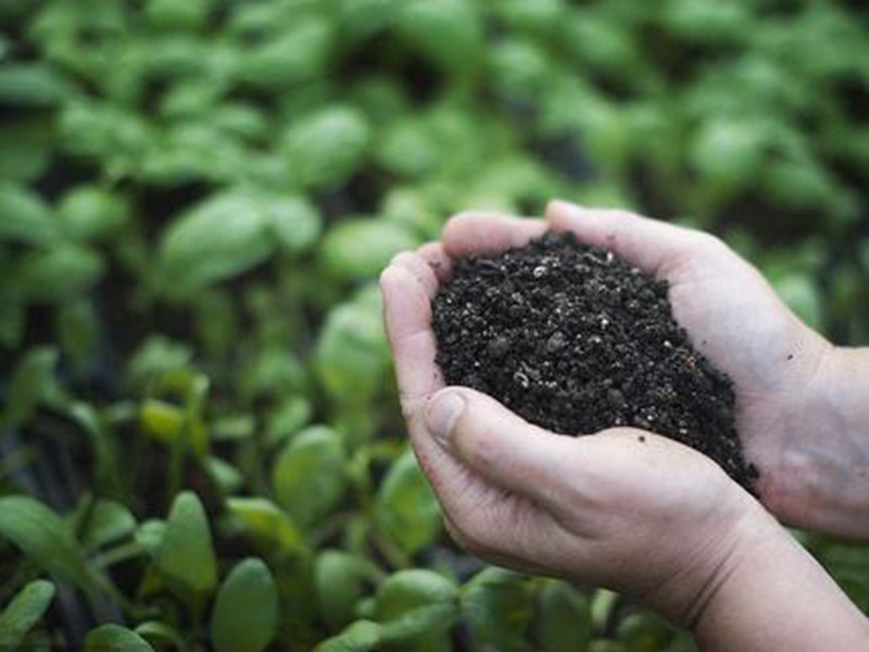 土壤養分速測儀幫助農業生產 15.jpg