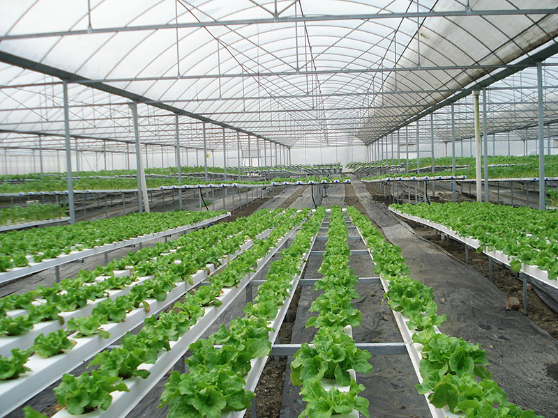 測土施肥儀為綠色農業的發展打下基礎 測土施肥儀為綠色農業的發展打下基礎