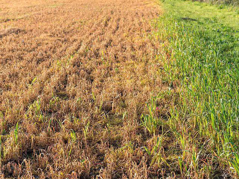 土壤呼吸測量系統 土壤呼吸測量系統