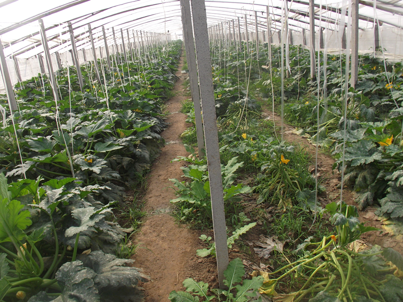 土壤肥料養(yǎng)分檢測儀提升檢測效率,降低成本 土壤肥料養(yǎng)分檢測儀提升檢測效率,降低成本