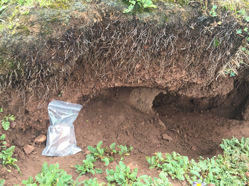 土壤原位鹽分速測儀用于節(jié)水灌溉工作 土壤原位鹽分速測儀用于節(jié)水灌溉工作